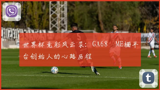 世界杯竞彩风云录：GA68椣ME栅平台创始人的心路历程