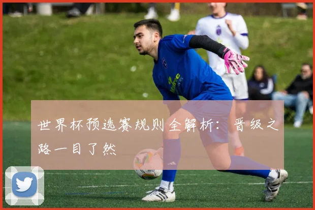 世界杯预选赛规则全解析：晋级之路一目了然