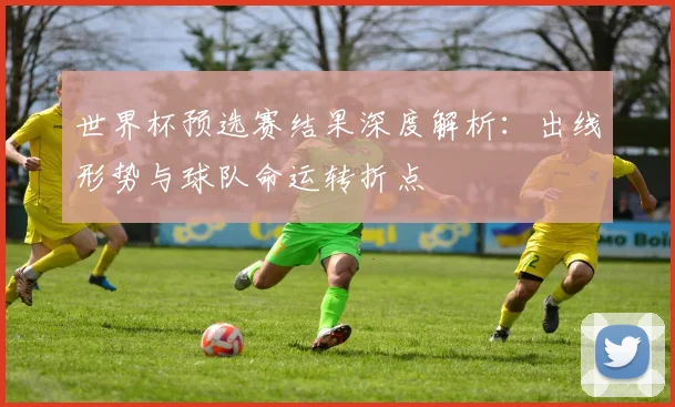 世界杯预选赛结果深度解析：出线形势与球队命运转折点